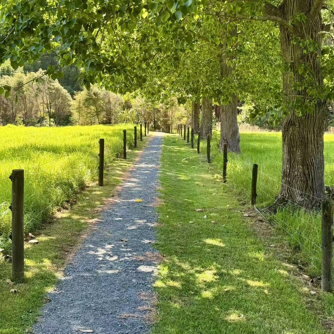 A Road in Summer